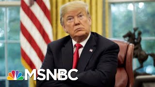A Look Back At How Mueller's Probe Has Shaped Donald Trump's Presidency | The 11th Hour | MSNBC