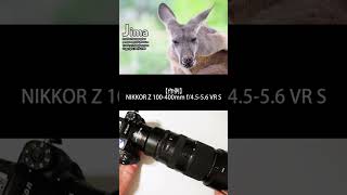 ニコン NIKKOR Z 100-400mm f/4.5-5.6 VR S 【ミラーレス一眼カメラ フルサイズに対応した超望遠ズームレンズ の魅力を作例で解説】