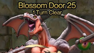 DQ Tact | Blossom Door 25 | 1 Turn Clear