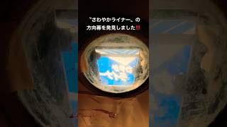 内側から見る方向幕👀〝さわやかライナー〟国鉄481系🚃【九州鉄道記念館】⑨前頭部展示の車両たち❹（📷2024.11.23）