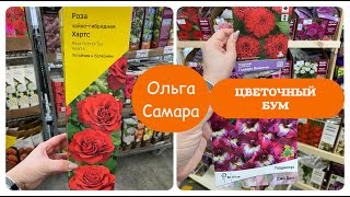 РОЗЫ 🌹 Лемана ПРО⚠️ Первый ЗАВОЗ 💛 Семена цветов и овощей 🌼🌽 Январь, 2025