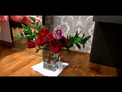 How to keep fresh cut roses alive longer! How to keep fresh cut roses alive longer!