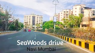 Seawoods Navi Mumbai | Nerul East And West Connector Bridge