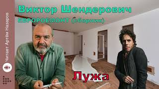 Виктор Шендерович | Лужа | из сборника "Евроремонт | читает Артём Назаров