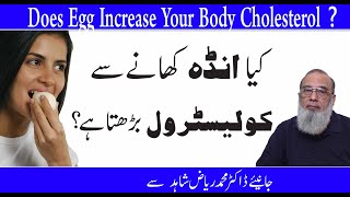 Does Egg Increase Your Body Cholesterol Level