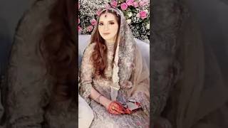 Insha Afridi And sheen shah Afridi wedding #shaheen #wedding #inshaallah