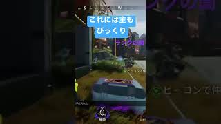 【Apex】バナー回収には気をつけよう