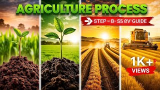 🌾🚜 The Complete Farming Process – From Field to Market! 🏪✨