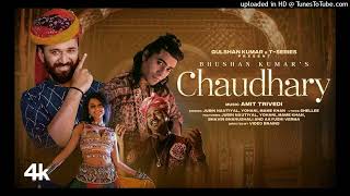 Chaudhary (audio) Amit Trivedi | Jubin Nautiyal, Mame Khan, Yohani | Bhavin, Aayushi | Bhushan K