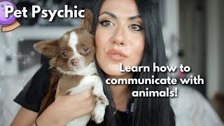 How to communicate Telepathically with Animals🐱