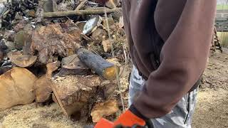 Stihl 023 14 inch bar. Small chainsaw