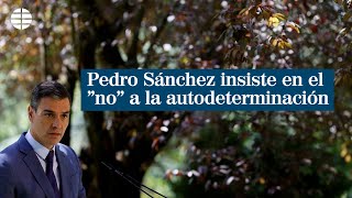 Pedro Sánchez insiste en el \