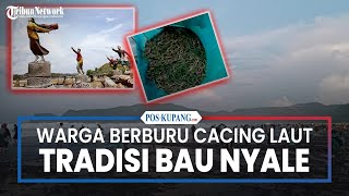 Tradisi Bau Nyale, Warga Berburu Cacing Laut di Pantai Lombok Tengah