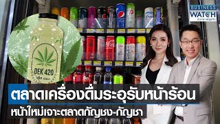 ตลาดเครื่องดื่มระอุรับหน้าร้อน หน้าใหม่เจาะตลาดกัญชง-กัญชา | BUSINESS WATCH | 13-04-65 (FULL)