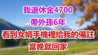 我退休金4700帶外孫6年看到女婿手機裡給我的備註當晚就回家#孝顺#儿女#讀書#養生#佛#房产#晚年哲理#中老年心語#淺談人生#民間故事#養老#真實故事#兒女的故事#小嫺說故事#遗产#赚钱