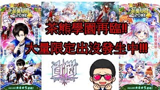 『斌哥』白貓project 繁中版 x 限定最多!!茶熊學園3降臨!!角色分析\u0026代抽~