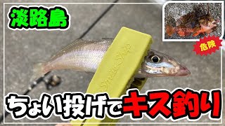 【淡路島・南あわじ】ちょい投げでキスなど様々な魚を釣りました。