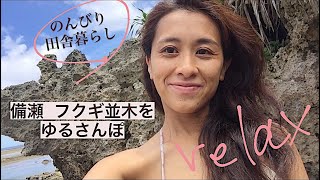 【海と森の田舎暮らし】本部町・備瀬のフクギ並木をのんびりお散歩/ロングフィン・シュノーケルマスク紹介