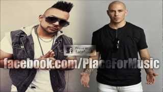 Sean Paul feat Pitbull   She Doesn't Mind Official Remix