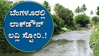 ಹೇಗಿದ್ದ ಸಿಲಿಕಾನ್‌ ಸಿಟಿ ಹೇಗಾಗಿದೆ ಗೊತ್ತಾ..?| Lockdown decreased POLLUTION in Bangalore|Positive Story|