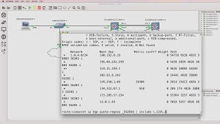 Python network automation, BGP and IOS regular expressions (Part 4). Live Internet BGP.
