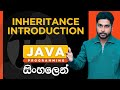 Java Tutorial - 23 | Java Inheritance Introduction | Sinhala