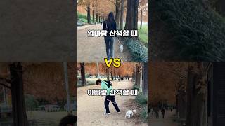 엄마랑 산책할 때 vs 아빠랑 산책할 때. 강아지 반응은?