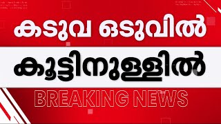 ഒടുവിൽ കുടുങ്ങി; അമരക്കുനിയിലെ കടുവയെ കൂട്ടിലാക്കി വനംവകുപ്പ്