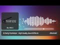 Echoing Footsteps | HQ Sound Effects