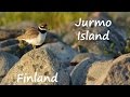 Baltic sailing #10 - Jurmo island, Finland