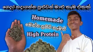 ගෙදර හදාගන්න පුළුවන් සුපිරි මාළු කෑම එකක්|Homemade super food