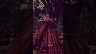 Novel name:bismil by mehrunisa |Urdu novel lines|novel lines in Urdu #novelistic #novellover #novel