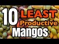 The 10 LEAST Productive Mangos