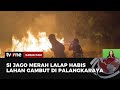 Kebakaran Lahan di Palangkaraya, Kobaran Api Dekat dengan Rumah Warga | Kabar Pagi tvOne