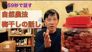 59秒で話す　自然農法梅干しの話