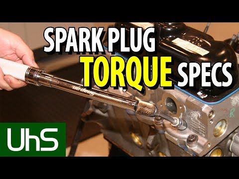 What is the torque spec on spark plugs?