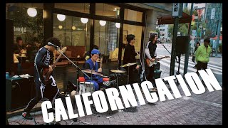 Californication / Red Hot Chili Peppers (23.11.11 Koenji Music Street)