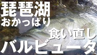 バルビュータ フリーリグ 食い直し！ 南湖 琵琶湖 おかっぱり デプス バルビュータ バス釣り