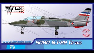 Soko Nj-22 ORAO 1/72 L\u0026M Resin Model Kit Video Review