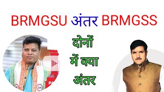 🔥 BRMGSS VS BRMGSU What is the difference between the two?🔥