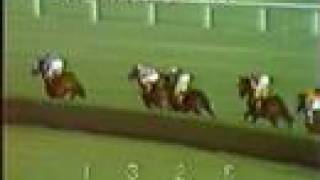 SECRETARIAT - 1973 Man o' War Stakes