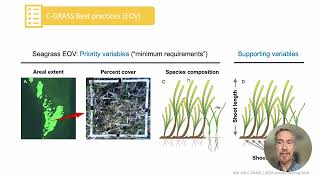 WG 158 C-GRASS 2024 Update