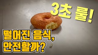 떨어진 음식, 5초 이내라도 먹지 마세요! [핫클립] / YTN 사이언스