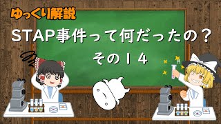 【ゆっくり解説】STAP事件って何だったの？（その１４：ｍRNA解析）