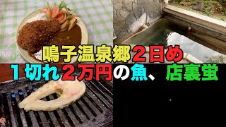 【#0306】ひさびさの鳴子温泉郷２日目、東鳴子温泉食堂千両のカツカレー健在、焼肉八兆で１切れ２万円の魚、そして店裏で蛍発光【鳴子温泉】【旅館すがわら】【チャンピオン牛】【ノグリラーメン】