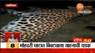 Nashik Leopard death | नाशिक-पुणे महामार्गावर मोहदरी घाटात अज्ञात वाहनाच्या धडकेत बिबट्याचा मृत्यू;