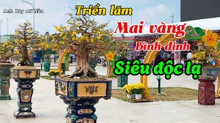 P1-Triển lãm mai vàng Bình định nhiều tác phẩm quái lạ có 1-0-2 -@Bayxunau