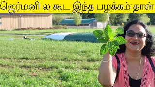 ஜெர்மனி ல கூட இந்த பழக்கம் தான் | நாட்டுப்புற GERMANY | TAMIL VLOG