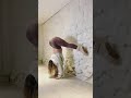 best yoga contortion part 29