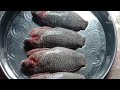 কৈ মাছের আঁশ পরিষ্কার ও কাটার সহজ উপায় easy way to clean and cut fish scales fish clean tips